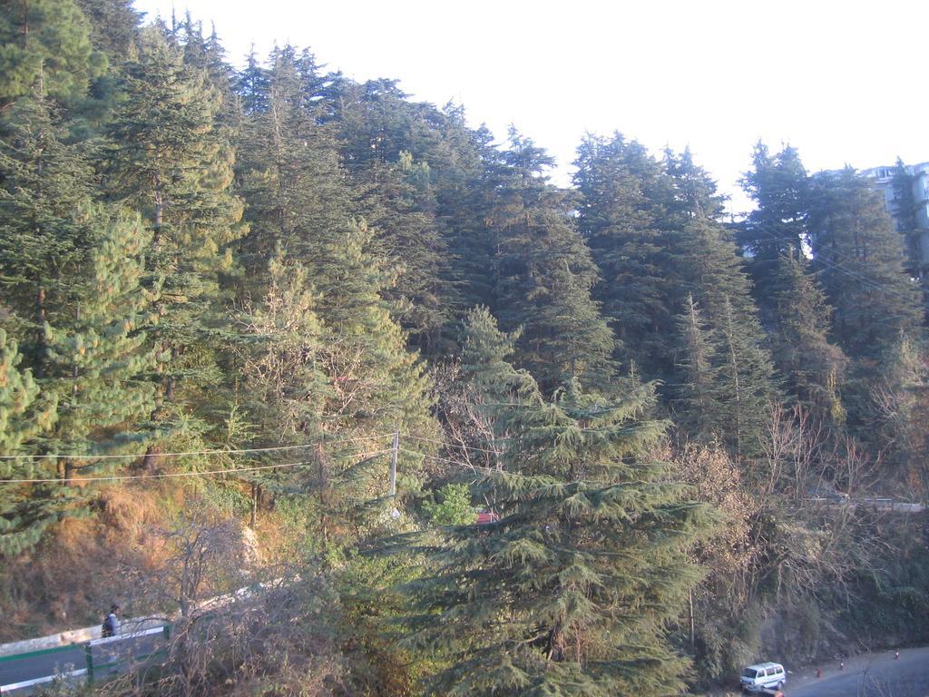 Shimla View Home Buitenkant foto