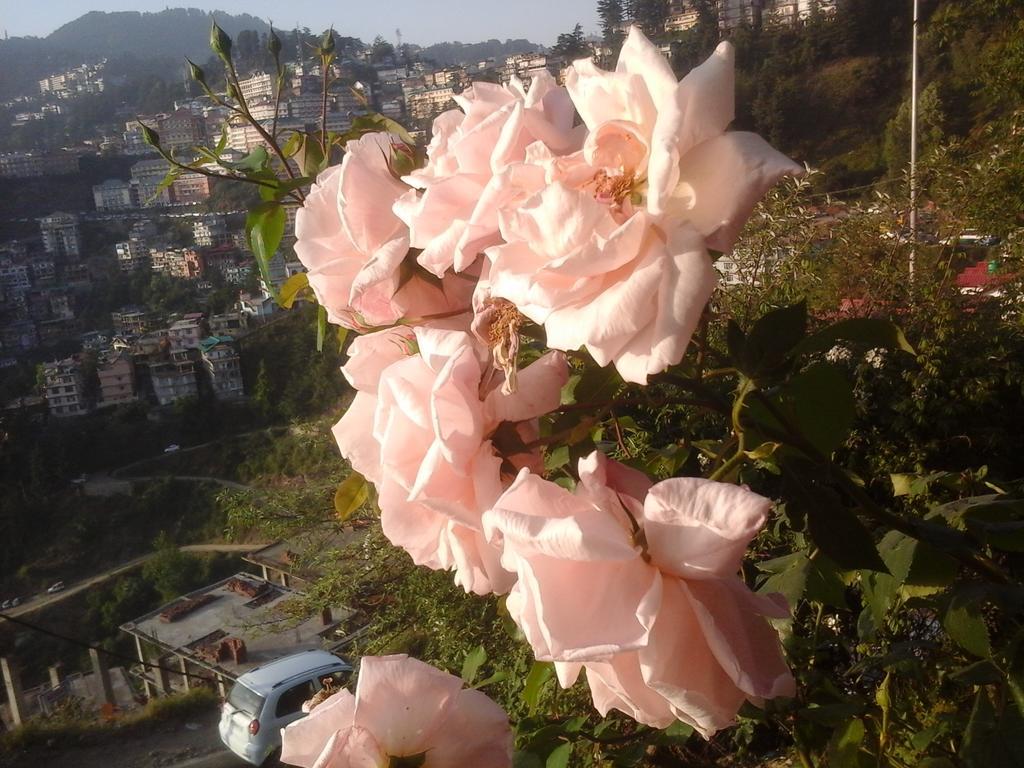 Shimla View Home Buitenkant foto