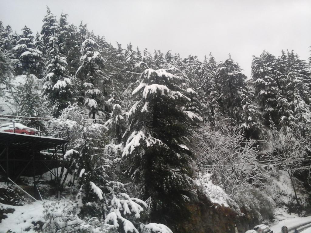 Shimla View Home Buitenkant foto